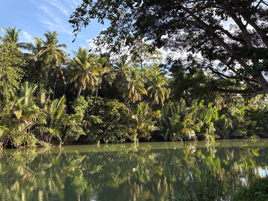 Loboc Nipa Huts Cottages Rental
