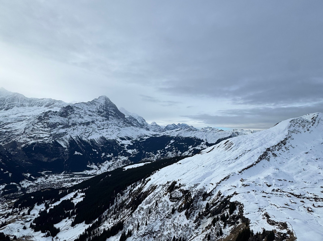 Typically Swiss Tours-卢塞恩必去景点