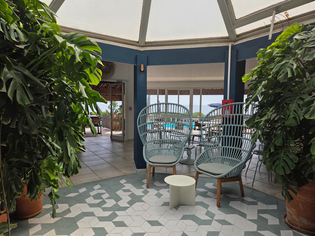 Hôtel Paradou Méditerranée主图