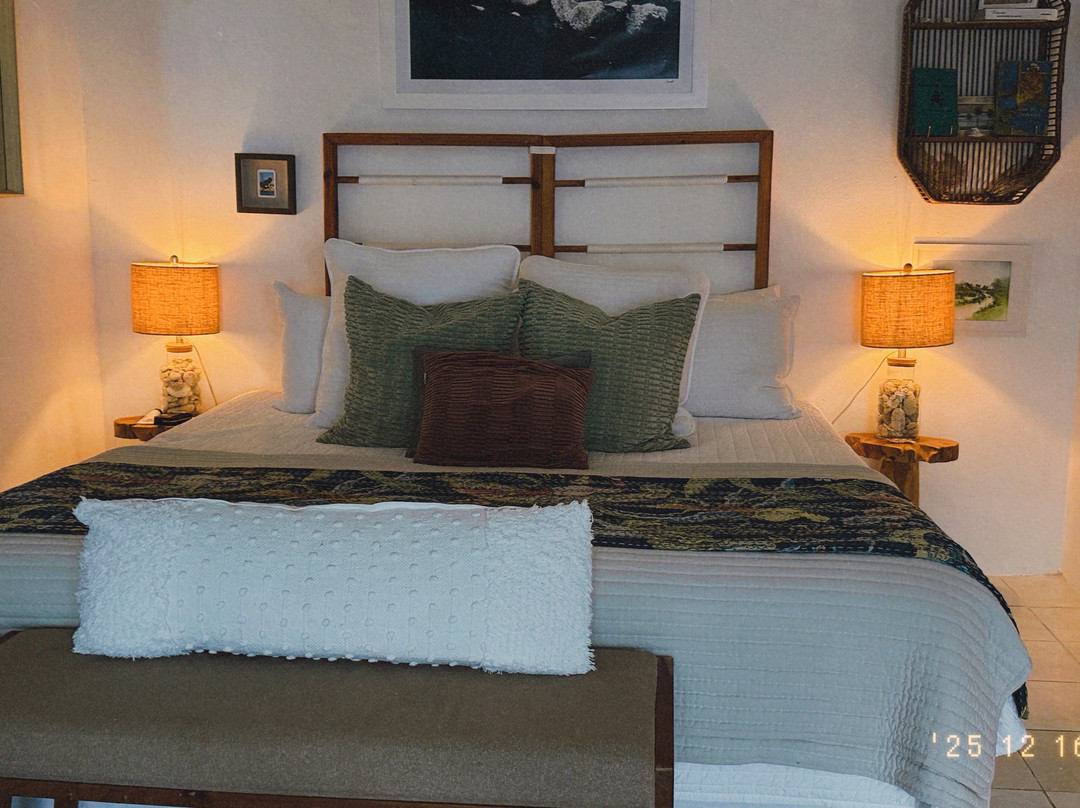 The English Rose Guest House主图