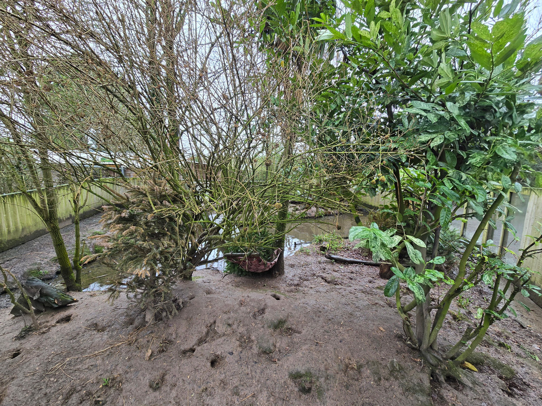 Axe Valley Wildlife Park-Axminster必去景点