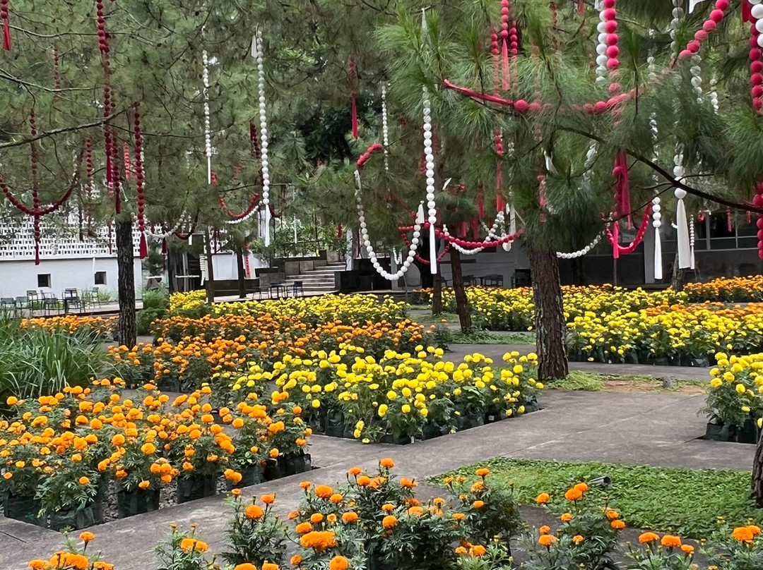 Rumah Atsiri Indonesia-Tawangmangu必去景点