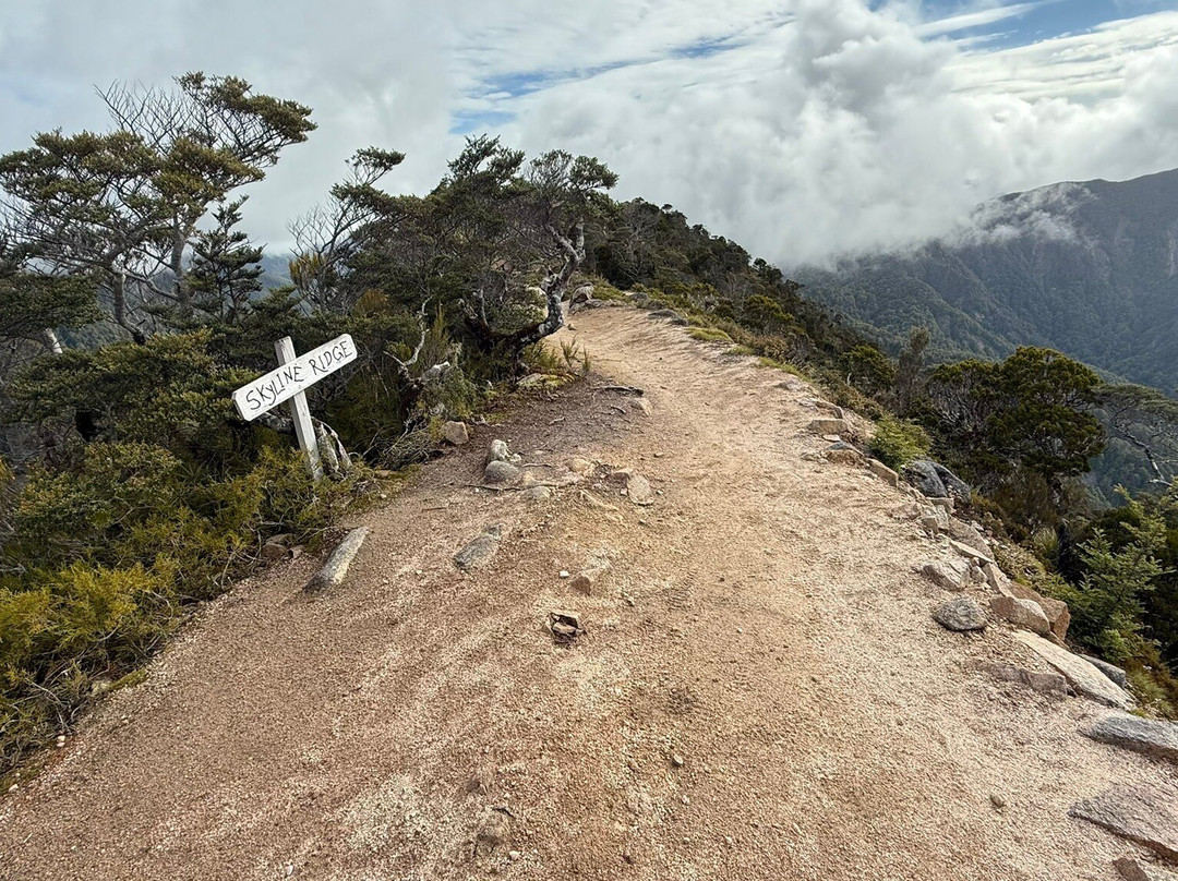 The Old Ghost Road-韦斯特波特必去景点