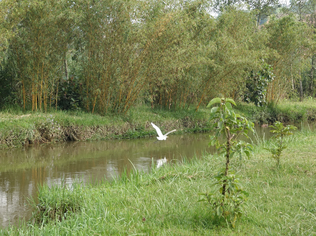 Beyond the Gorillas Experience-Ruhengeri必去景点