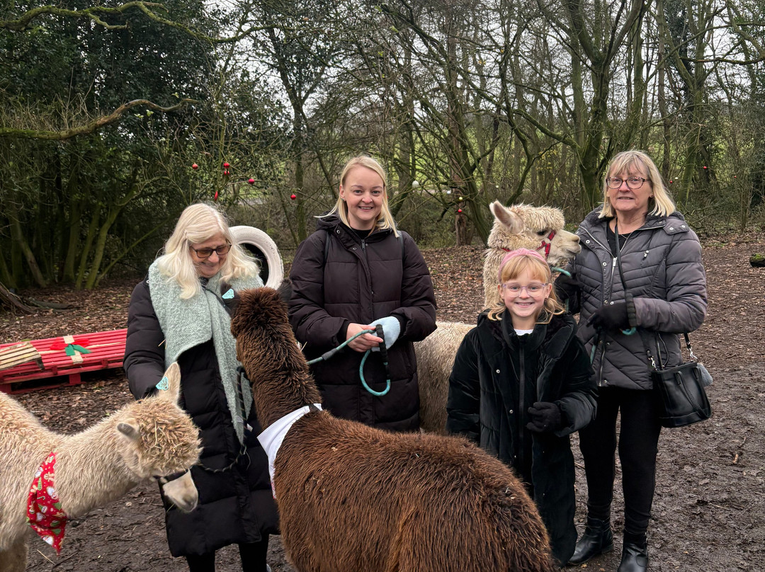 Charnwood Forest Alpacas-Boundary必去景点