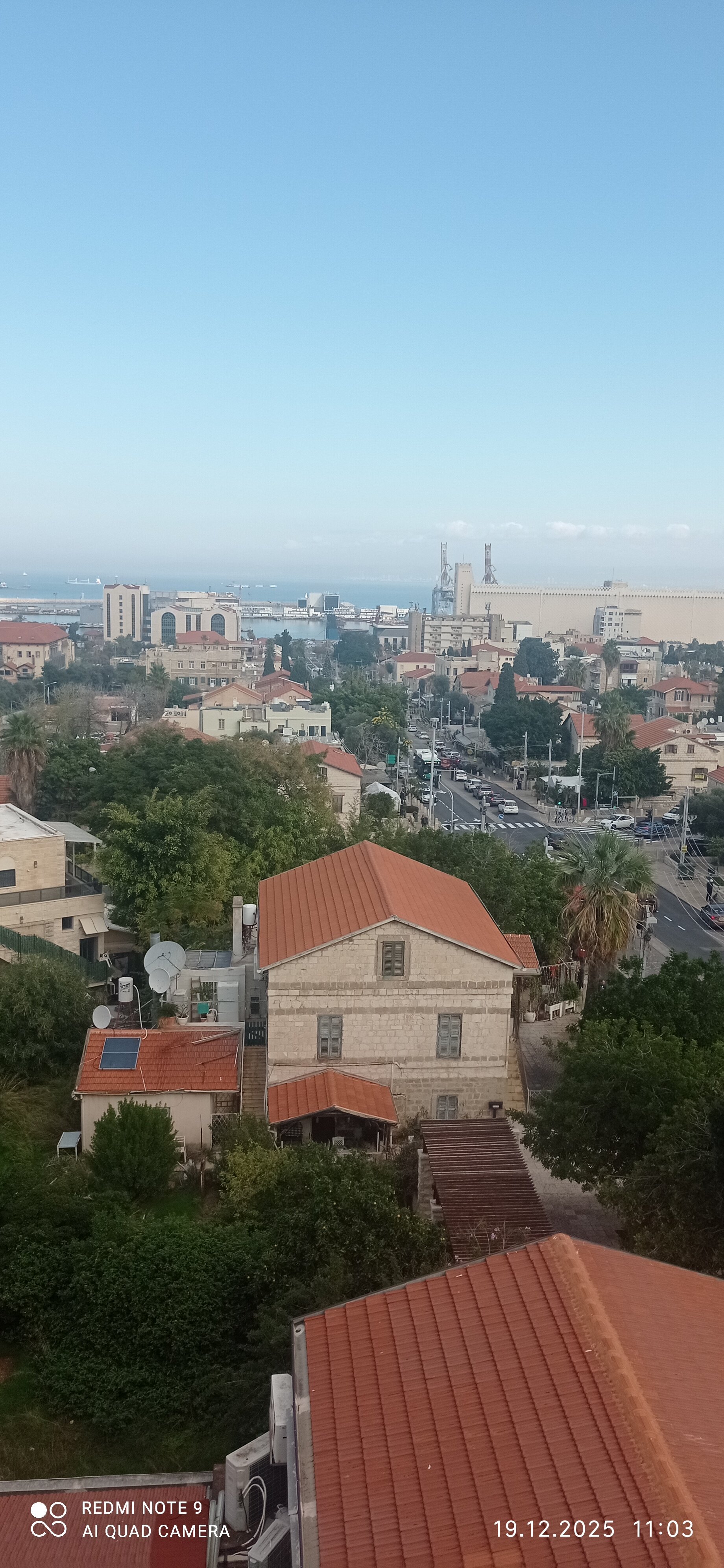 Botanica Haifa-酒店景观