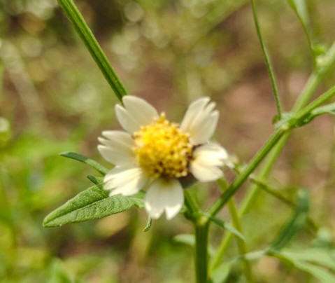 Tillus Agro Tourism-Solapur必去景点