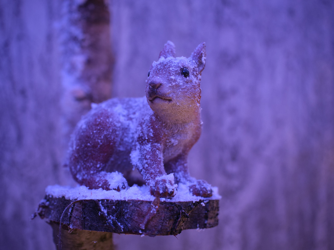 Bewl Water-Lamberhurst必去景点