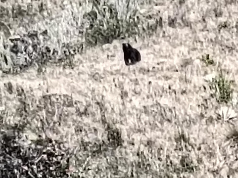 Colombia Oculta-波哥大必去景点