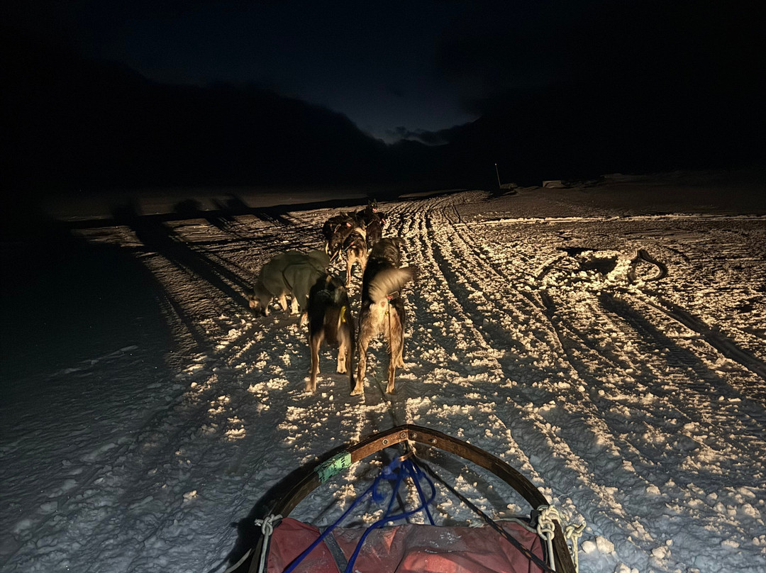 Husky Travellers-朗伊尔城必去景点