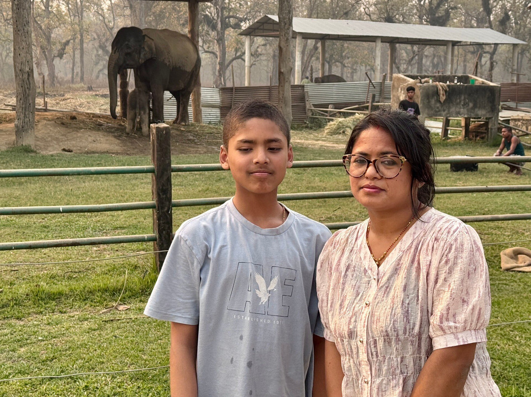 Elephant Breeding Centre-苏拉哈必去景点