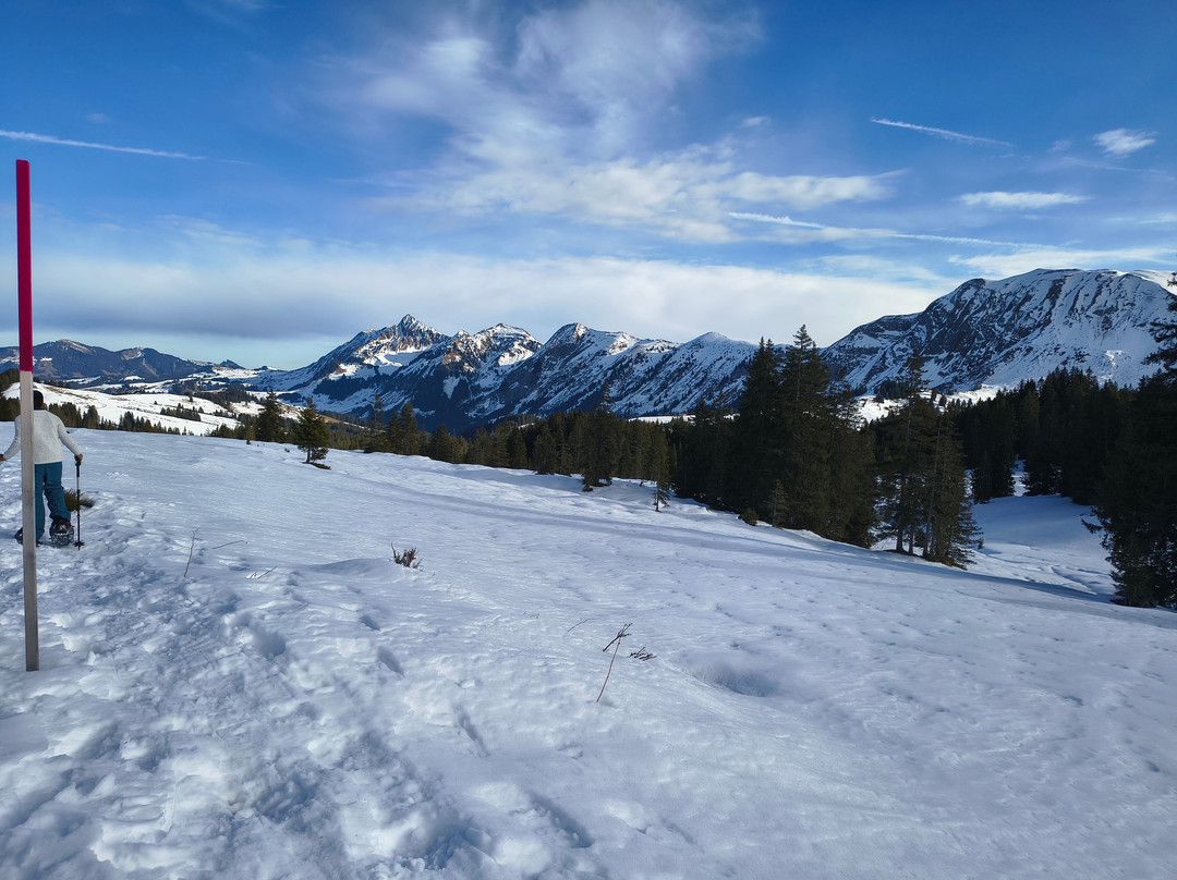 OUTDOOR - Interlaken Base-维尔德斯维尔必去景点