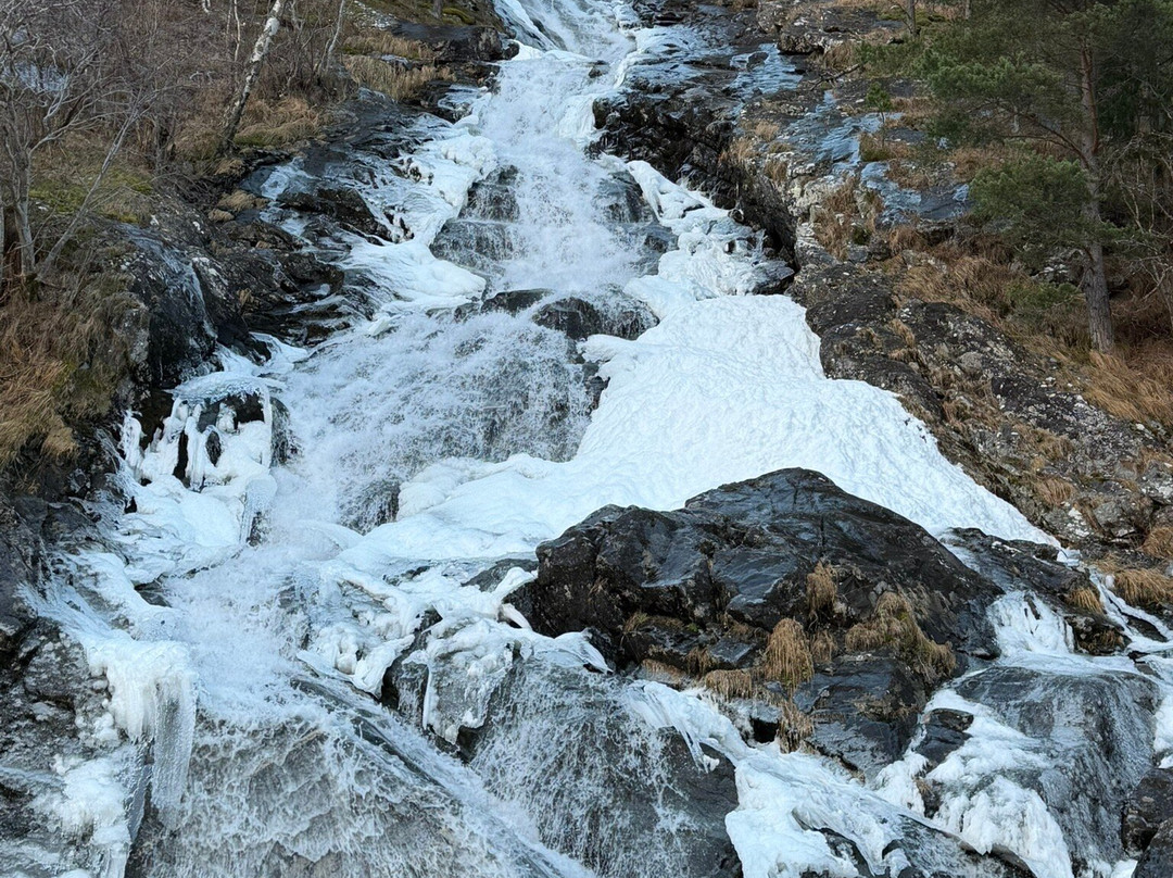 FjordSafari-弗洛姆必去景点
