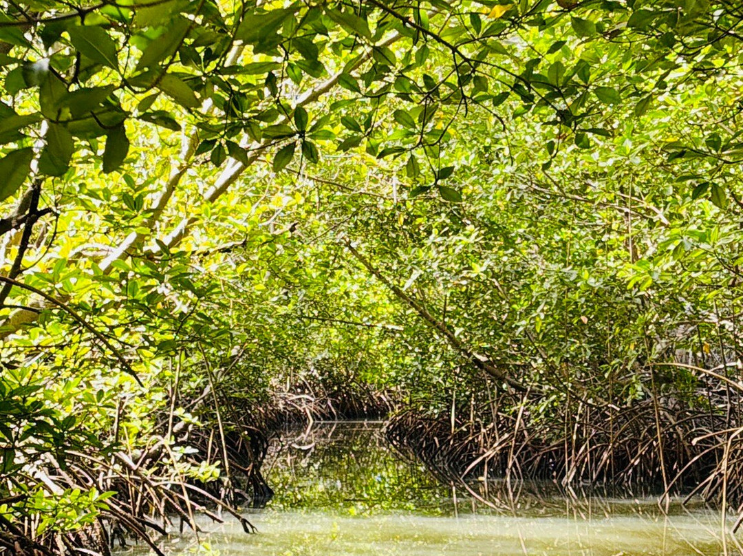 Terre Kassoumay-Oussouye必去景点