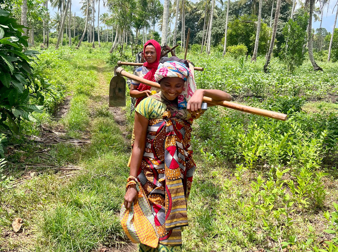 Village Green Spice farm-桑给巴尔岛必去景点