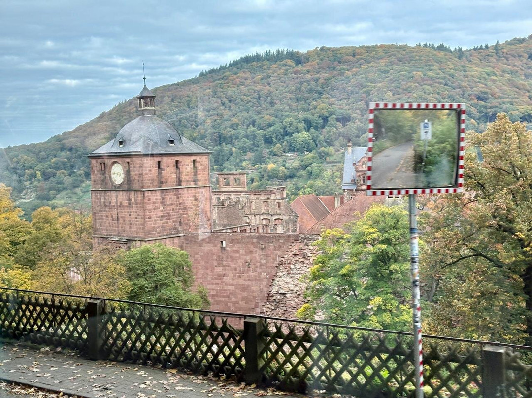 海德堡旧城区-海德尔堡必去景点