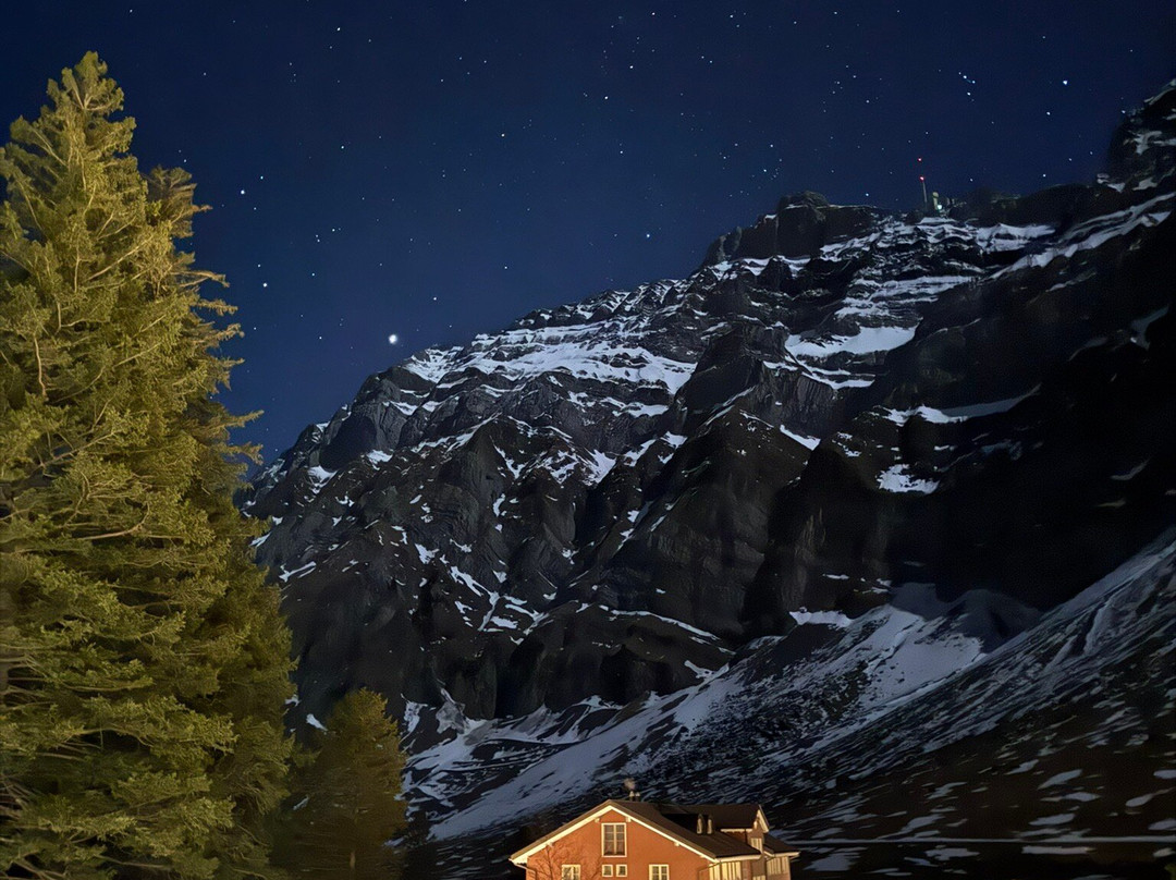 Säntis - Das Hotel主图