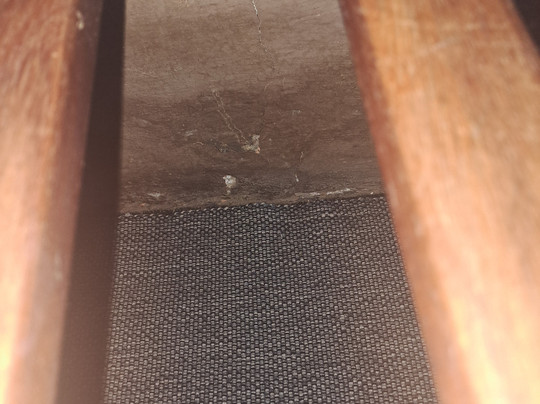 Barberton Mountain Lodge主图