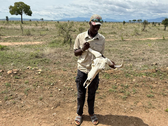 NICE ADVENTURE SAFARI-Dar es Salaam必去景点