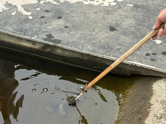 Shark And Ray Rescue Centre-Bobs Farm必去景点