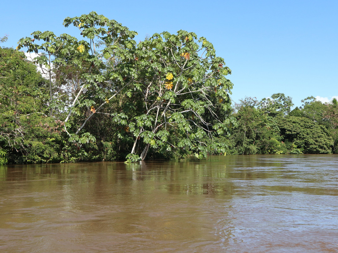 Area de Conservacion Regional Comunal Tamshiyacu Tahuayo-伊基托斯必去景点