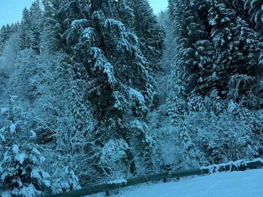 Pension Almhof主图