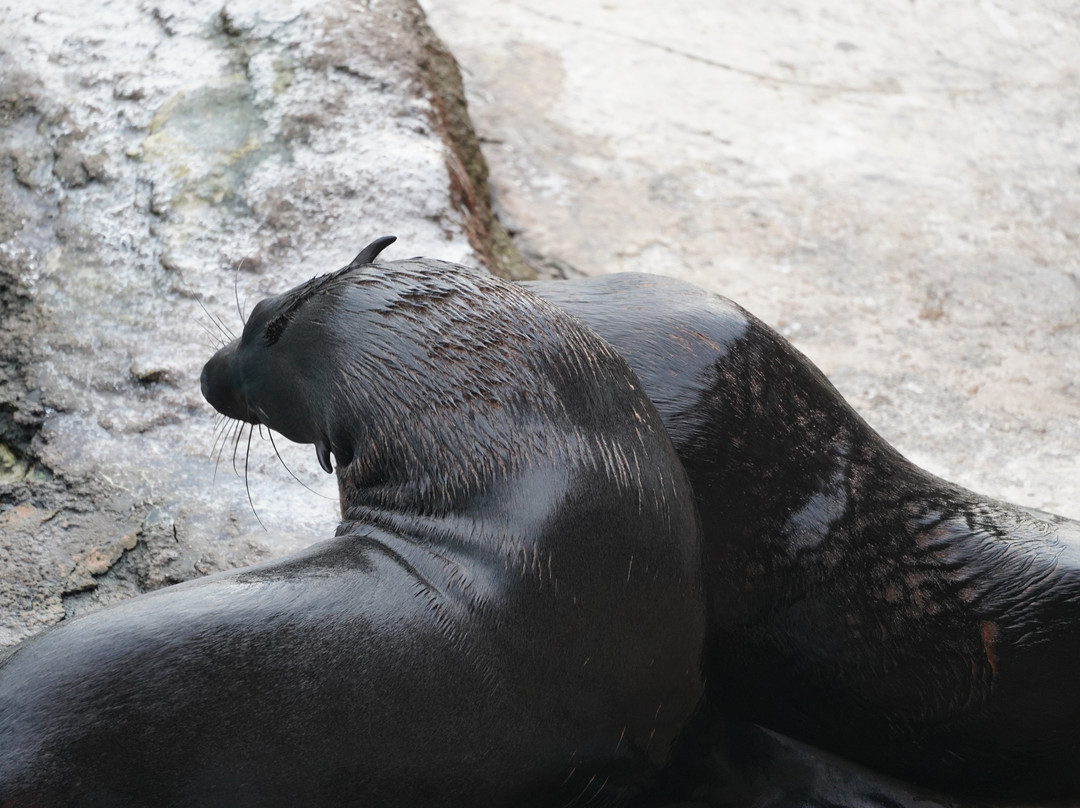 Afrykarium-弗罗茨瓦夫必去景点