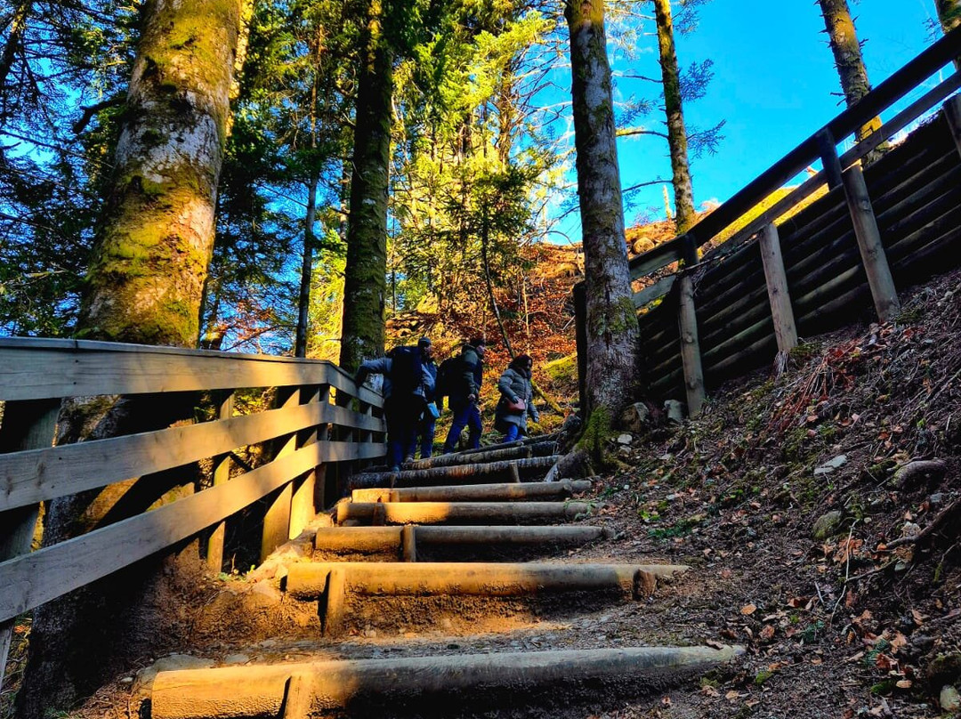 Cascade du Rossignolet-蒙多尔必去景点