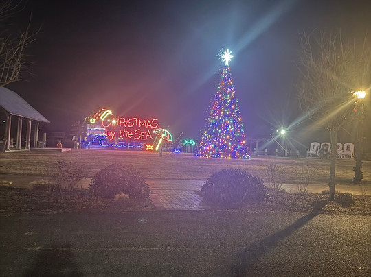 Robert N. Reed Downtown Waterfront Park-钦科蒂格岛必去景点