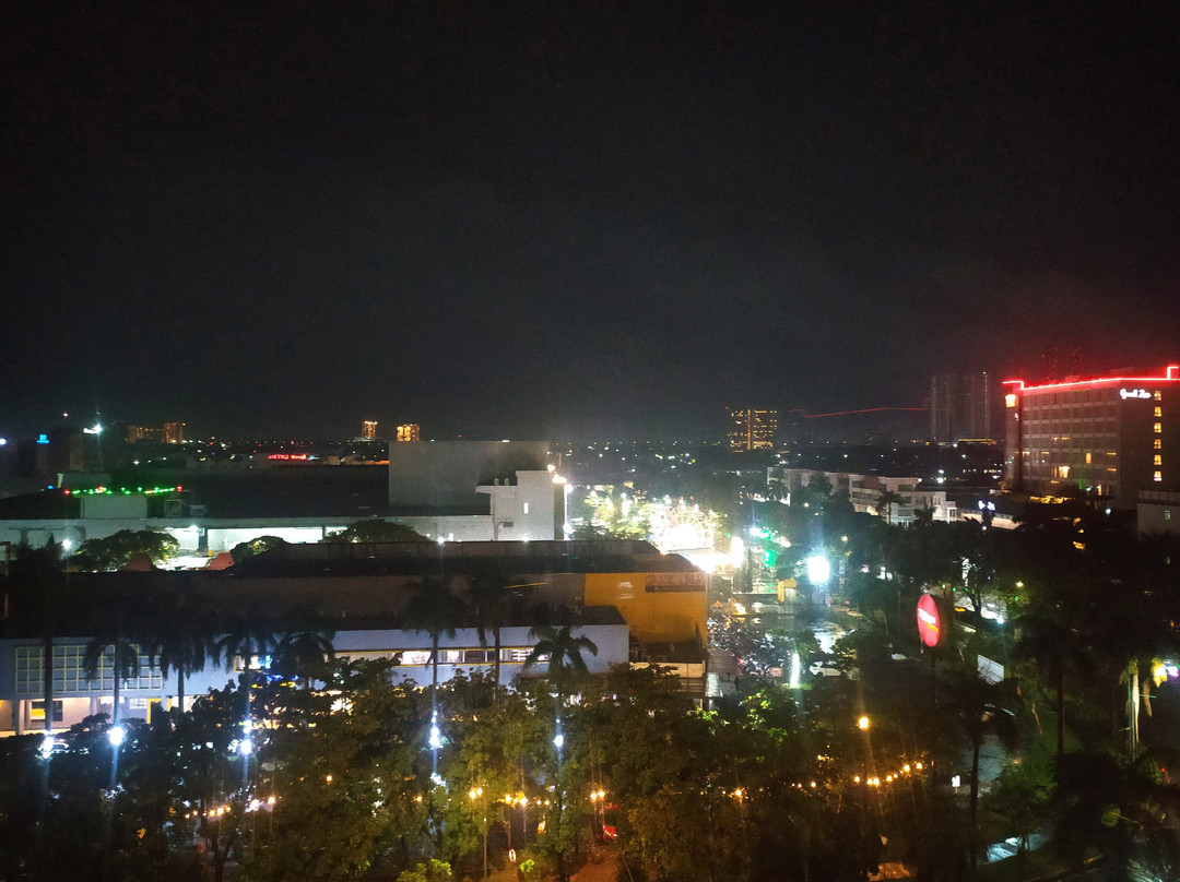 爪哇宫殿酒店主图