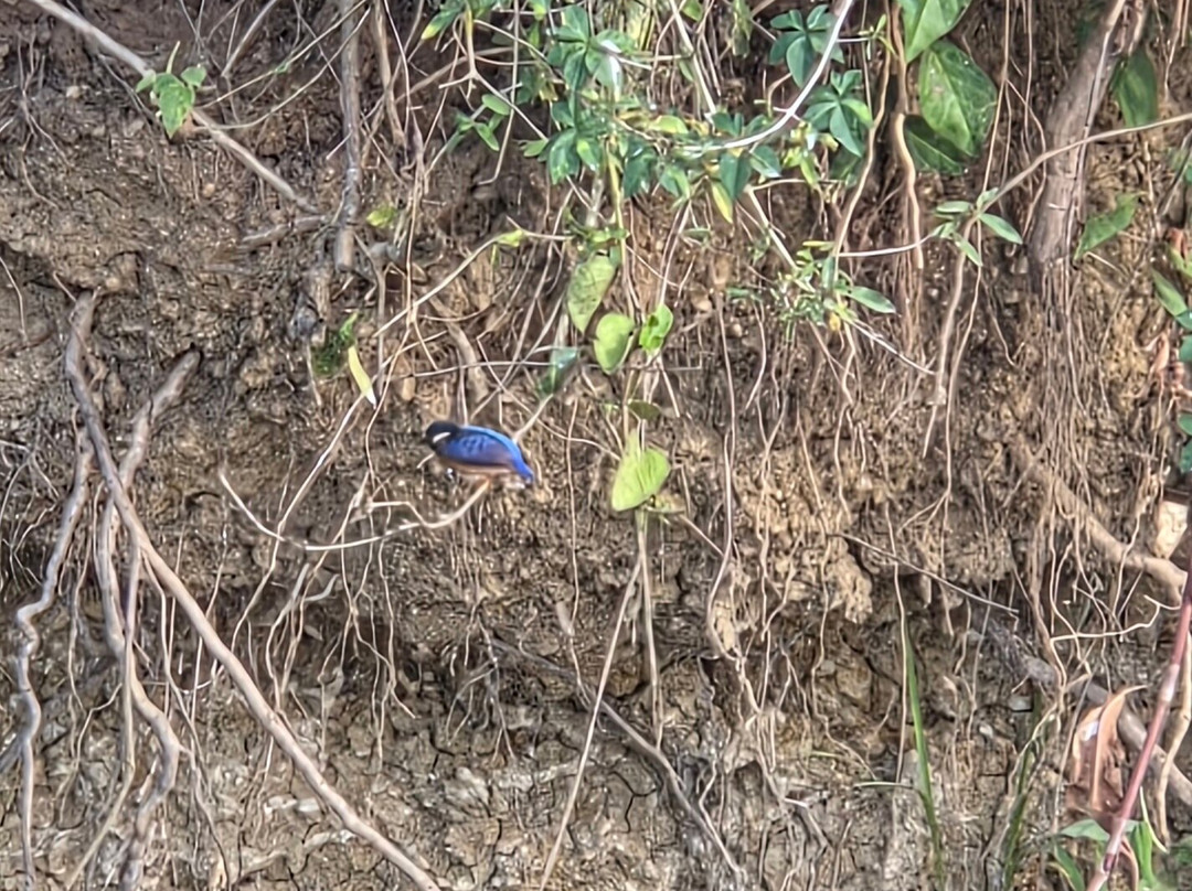 Kazinga Channel-伊丽莎白女王国家公园必去景点