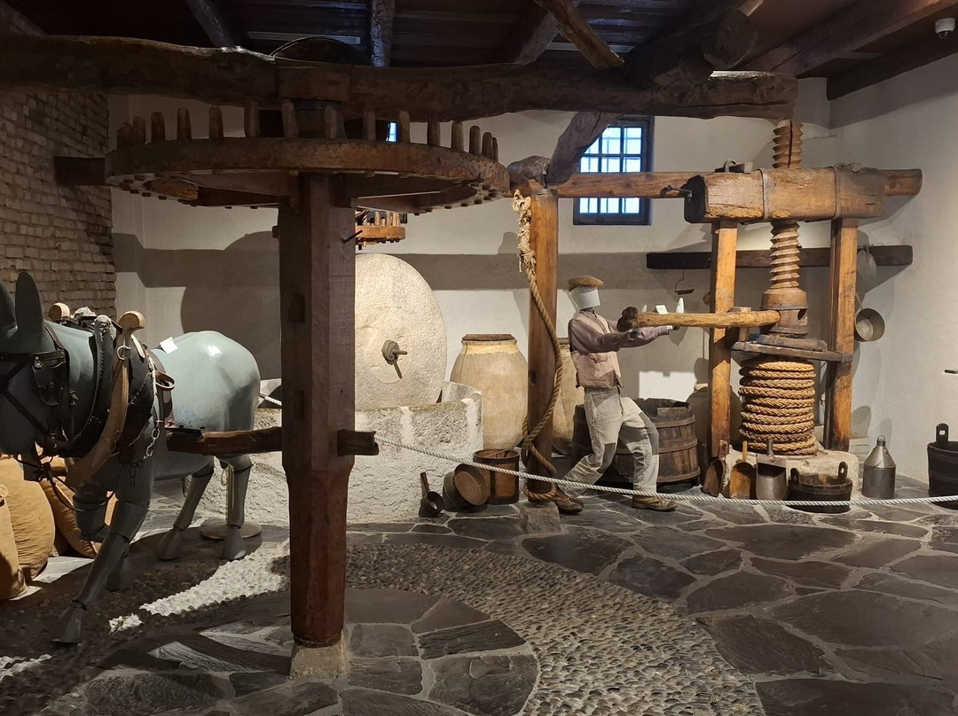 Museo dell'Olivo-因佩里亚必去景点