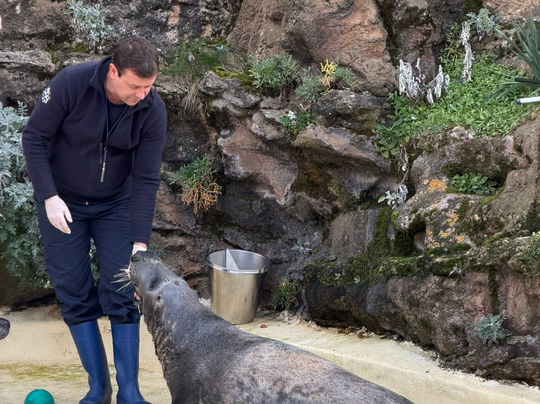 Aquarium de Biarritz-比亚里茨必去景点