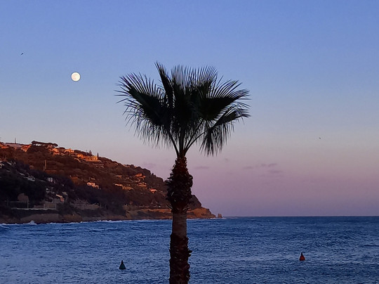 里维拉第菲奥里酒店主图