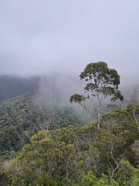 Prince Henry Cliff Walk-卡通巴必去景点