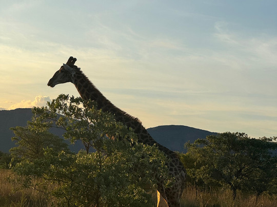 Loisico Tours and Excursions-Bloubergstrand必去景点