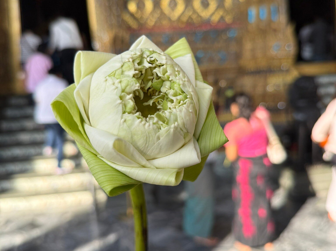 Aj Travel-曼谷必去景点