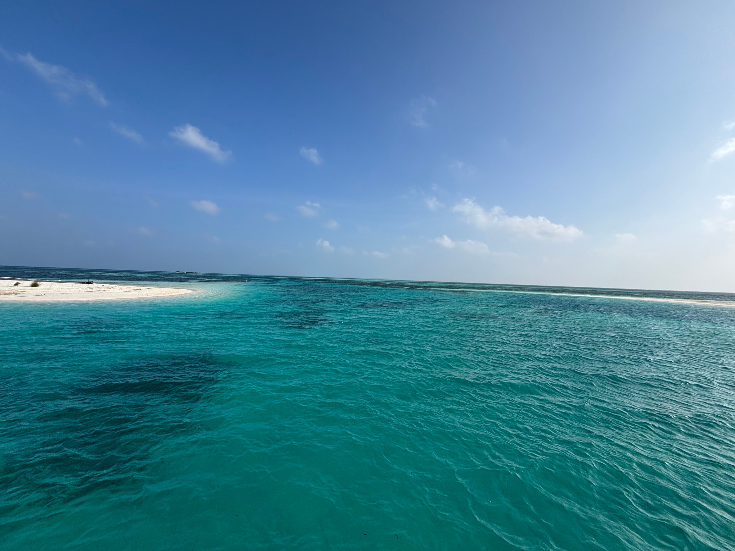 马尔代夫可可尼度假村-泳池