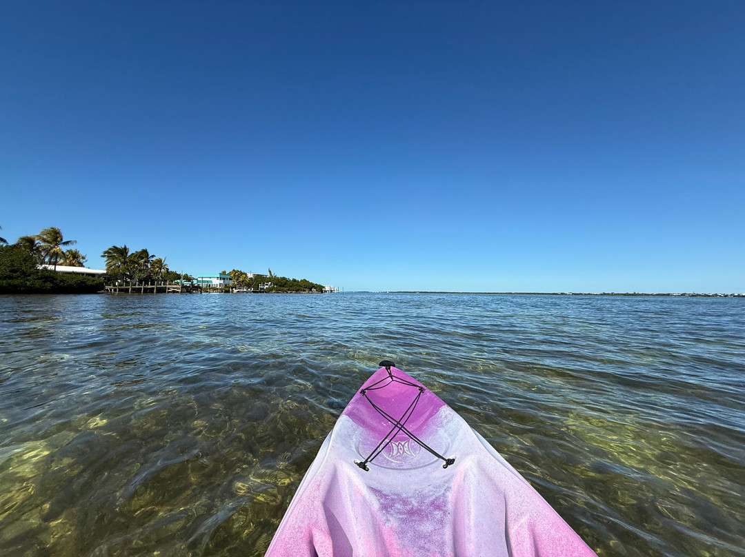 Big Pine Kayak Adventures-Big Pine Key必去景点