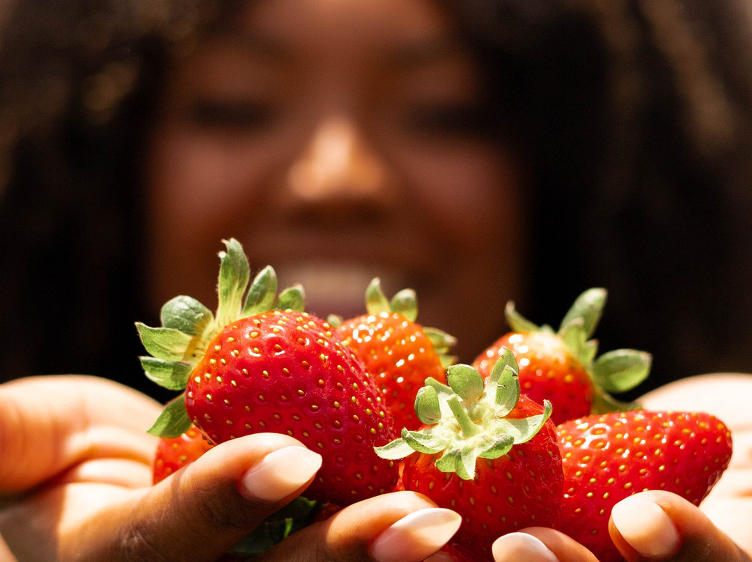 Casa Do Morango-Nova Petropolis必去景点