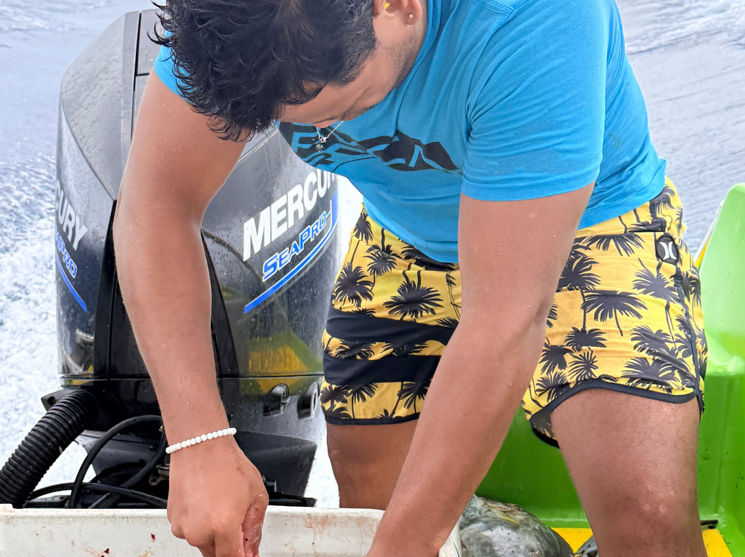 Rairoa Fishing And Tours-伦吉拉必去景点