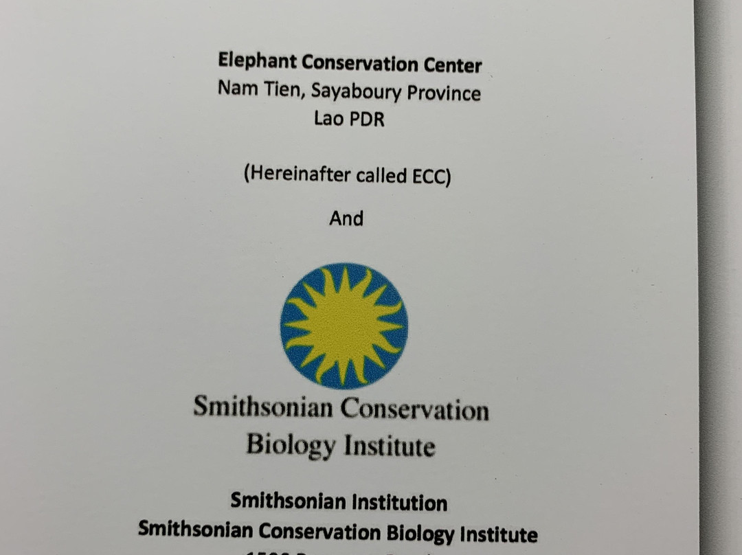 Elephant Conservation Center-Sayaboury必去景点