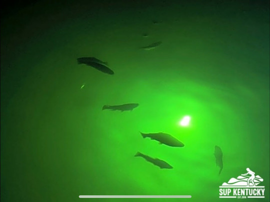 SUP Kentucky-Rogers必去景点