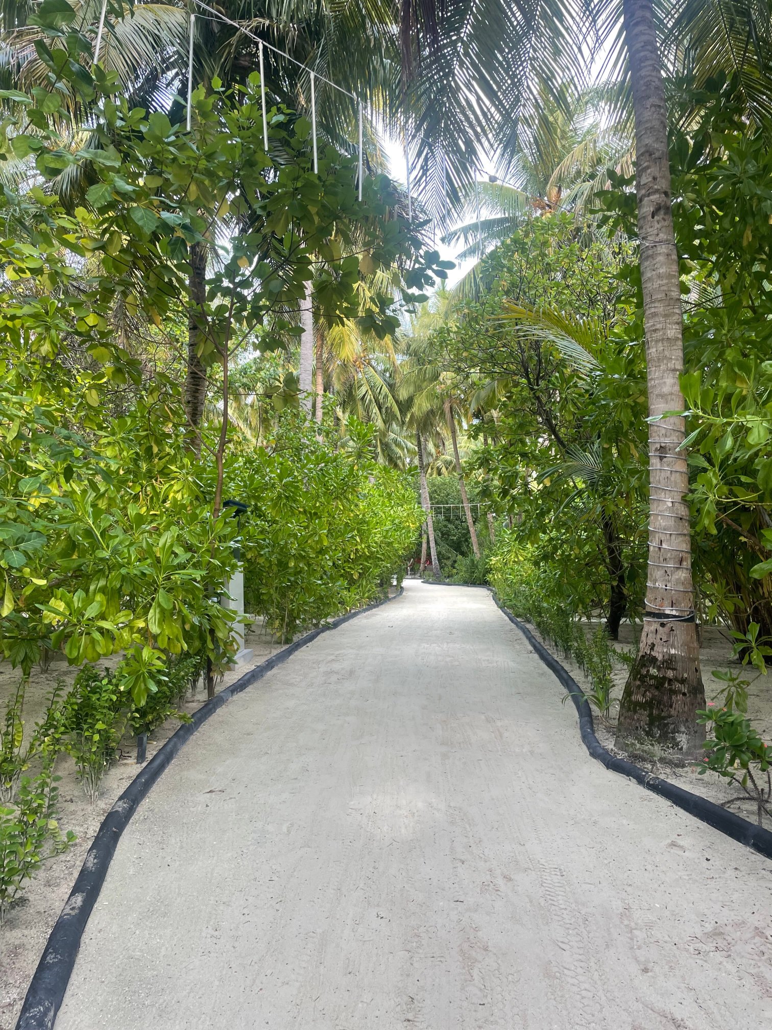 加雅礁湖-哈库拉岛酒店-浴室