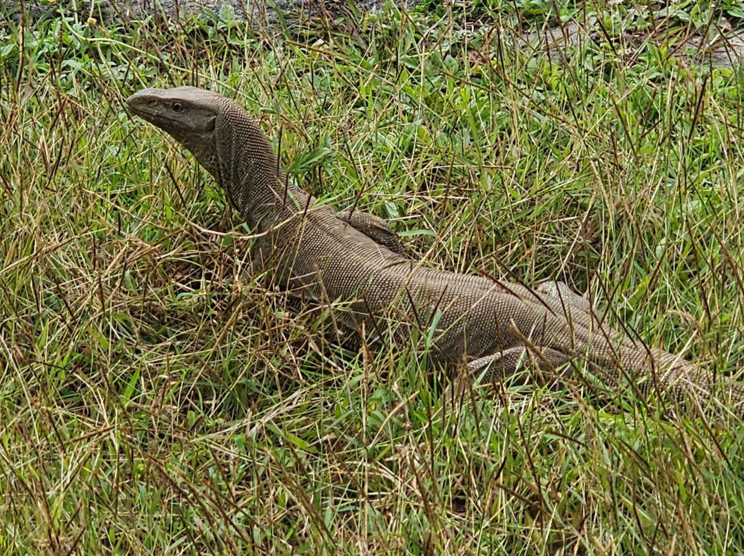 Ceylon Master Tours-Waskaduwa必去景点
