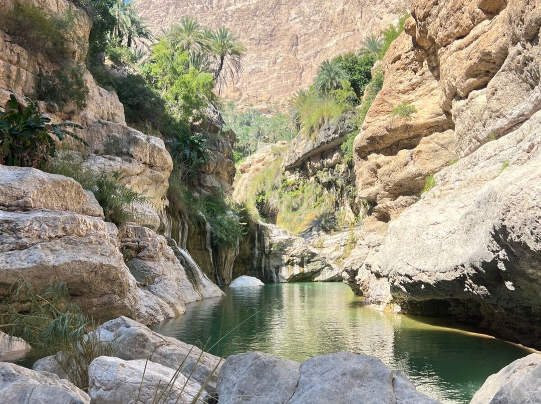 Wadi Tiwi-提维必去景点