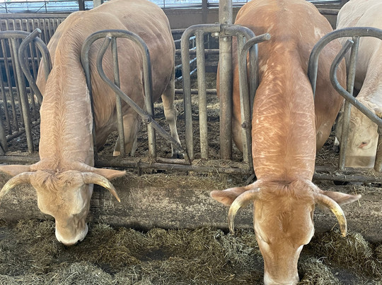 Natuurboerderij Hardebol