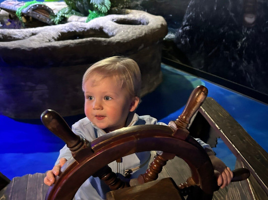 Blue Zoo Aquarium Rogers-罗杰斯必去景点