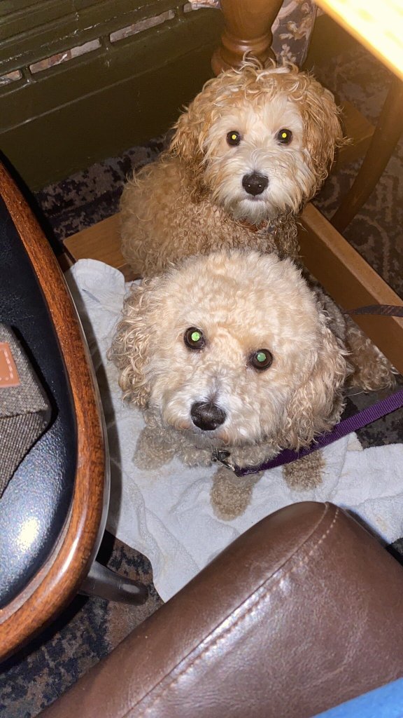 The Bamburgh Castle Inn - The Inn Collection Group-官方