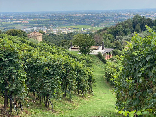 Asolo Manor Wine-阿索洛必去景点